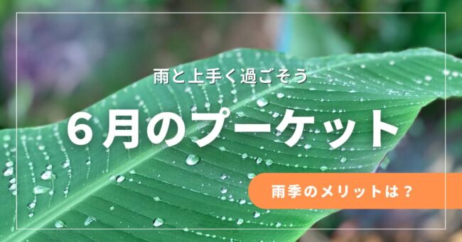 緑のバナナの葉の上に水滴が見えます